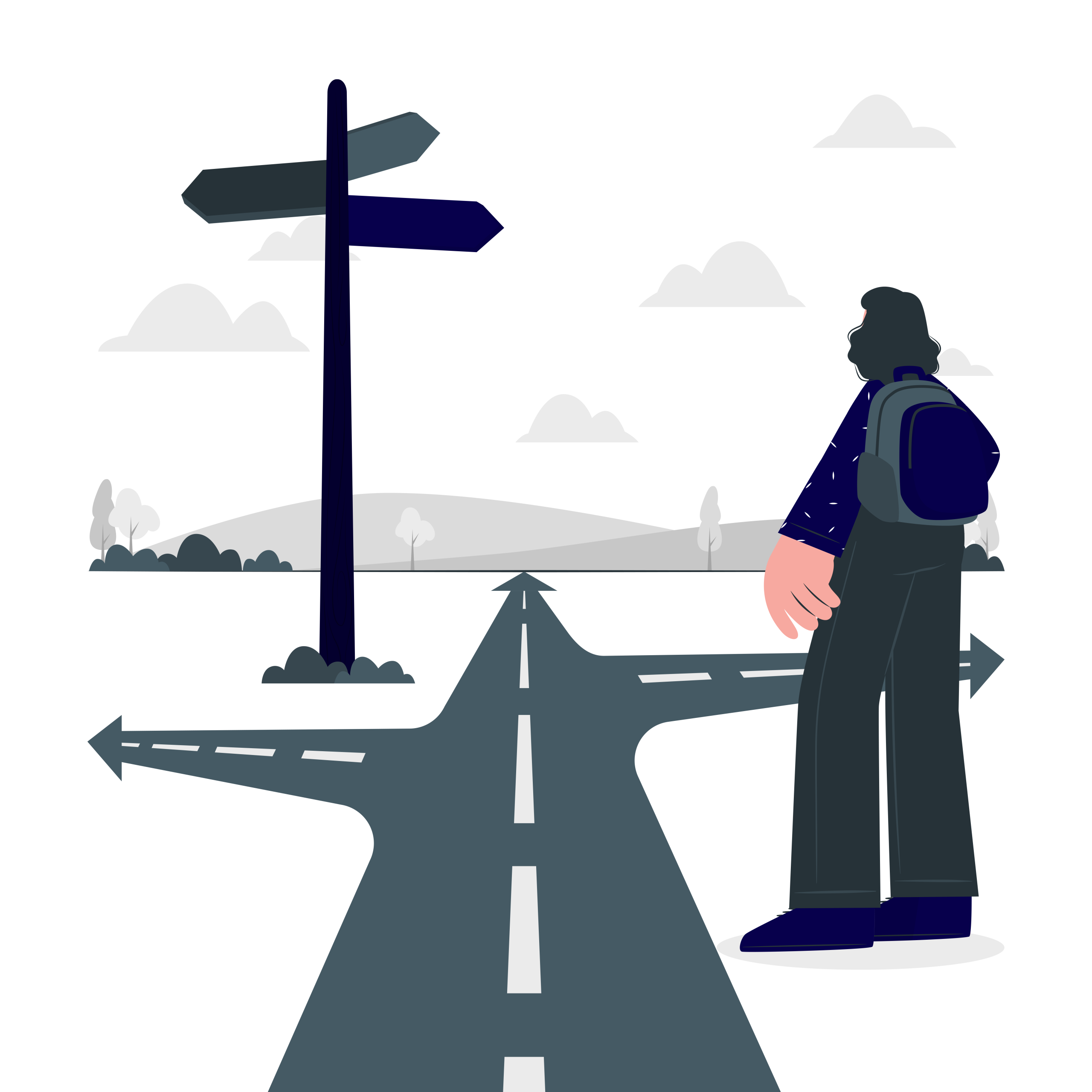 Digital Growth Planning Model